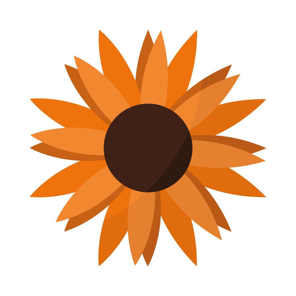 herfstzonnebloem van een oranje kleur vector