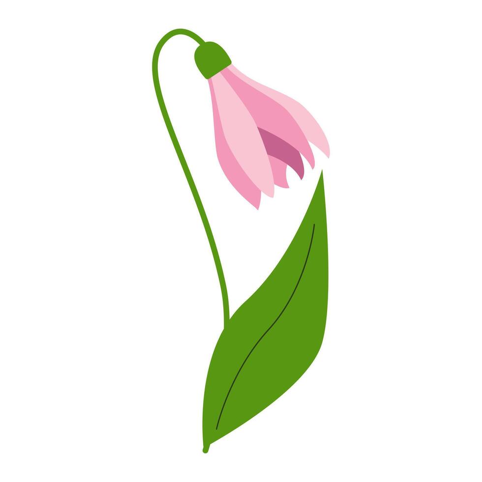 hand- getrokken sneeuwklokjes, voorjaar bloemen, bloemen en groen bladeren. veelkleurig bloeiend botanisch elementen voor ontwerpen. vlak vector illustratie geïsoleerd Aan wit achtergrond.