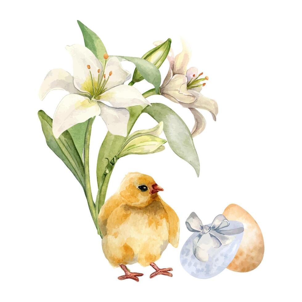 Pasen eieren, kip en wit bloemen waterverf illustratie geïsoleerd Aan wit achtergrond. eieren met kleurrijk linten en lelies hand- getrokken. geschilderd vogel. samenstelling voor ontwerp Pasen decoratie. vector