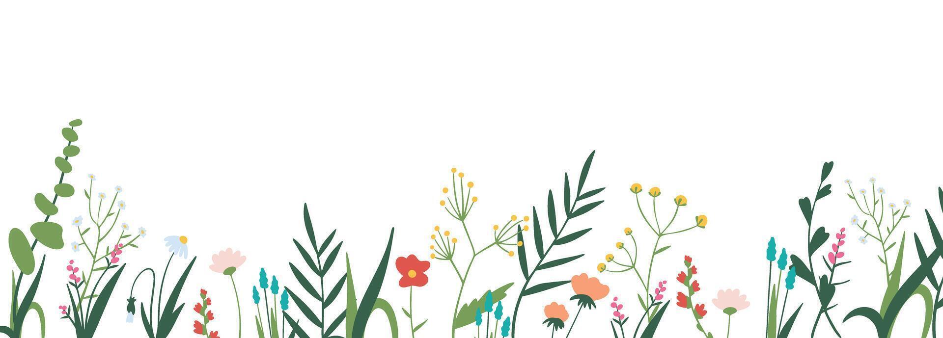 poster met wilde bloemen, kruiden in botanisch stijl geïsoleerd Aan wit. banier sjabloon met bloemen elementen en plaats voor tekst. zomer boeket voor kaarten, hartelijk groeten, uitnodiging. vector illustratie