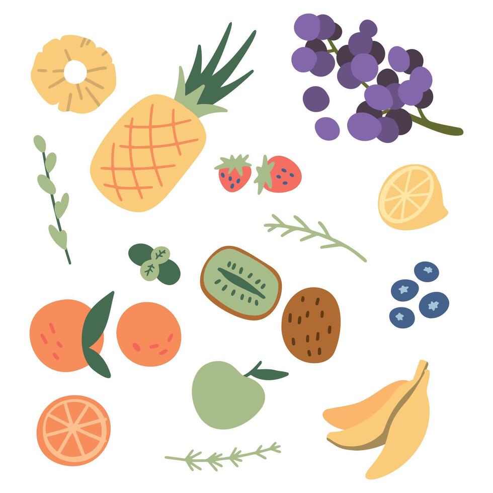 vers, smakelijk fruit set. tekenfilm stijl hand- getrokken vector illustratie. veganistisch menu, gezond voedsel. fruit geïsoleerd Aan wit. granaatappel, appel, ananas, pruim, banaan, abrikoos, appel, Peer, bessen...