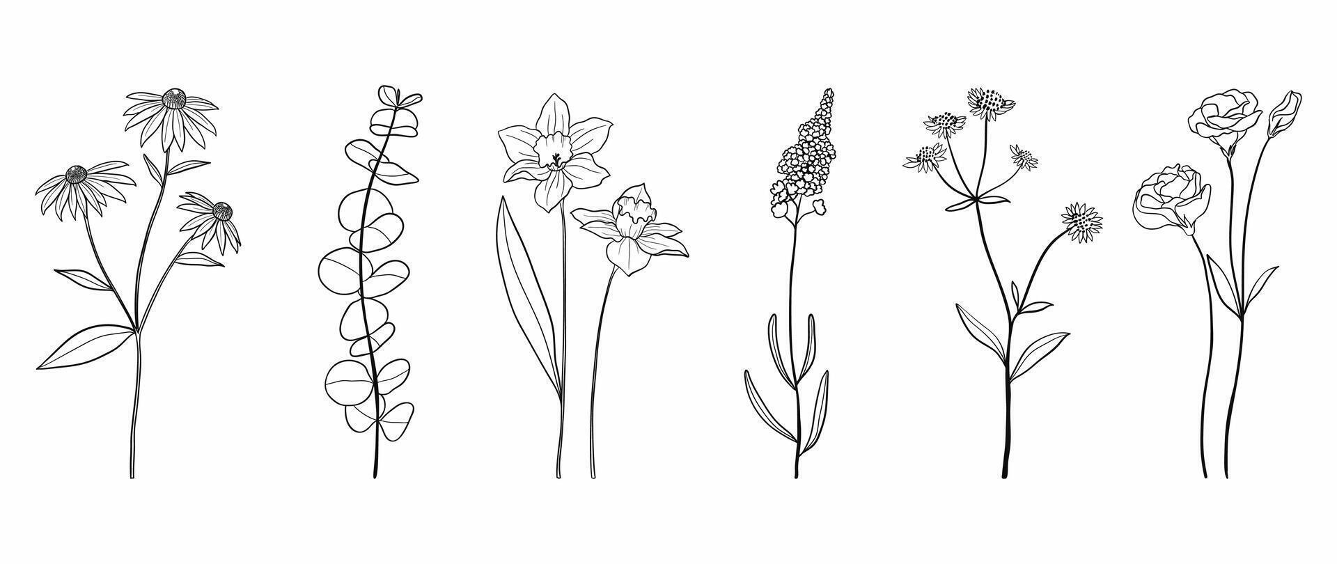 reeks botanisch hand- getrokken element vector. verzameling van gebladerte, tak, bloemen, bladeren, wilde bloemen in lijn kunst. minimaal stijl bloesem illustratie ontwerp voor logo, bruiloft, uitnodiging, decor. vector