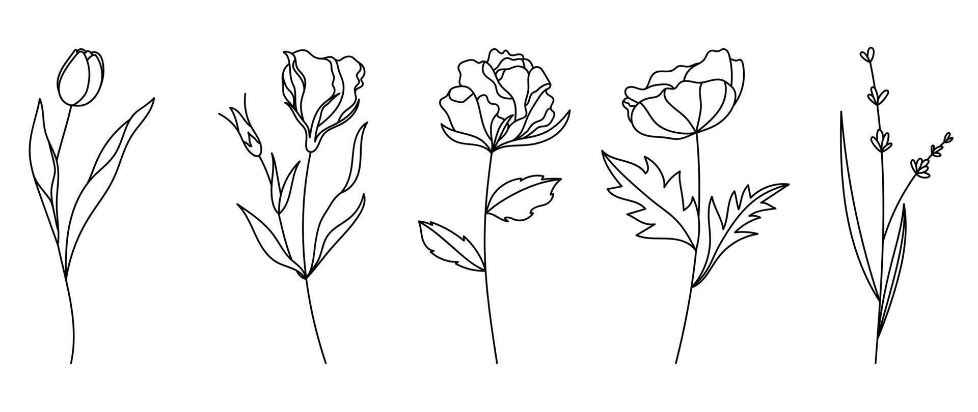 reeks botanisch hand- getrokken element vector. verzameling van gebladerte, tak, bloemen, bladeren, wilde bloemen in lijn kunst. minimaal stijl bloesem illustratie ontwerp voor logo, bruiloft, uitnodiging, decor. vector