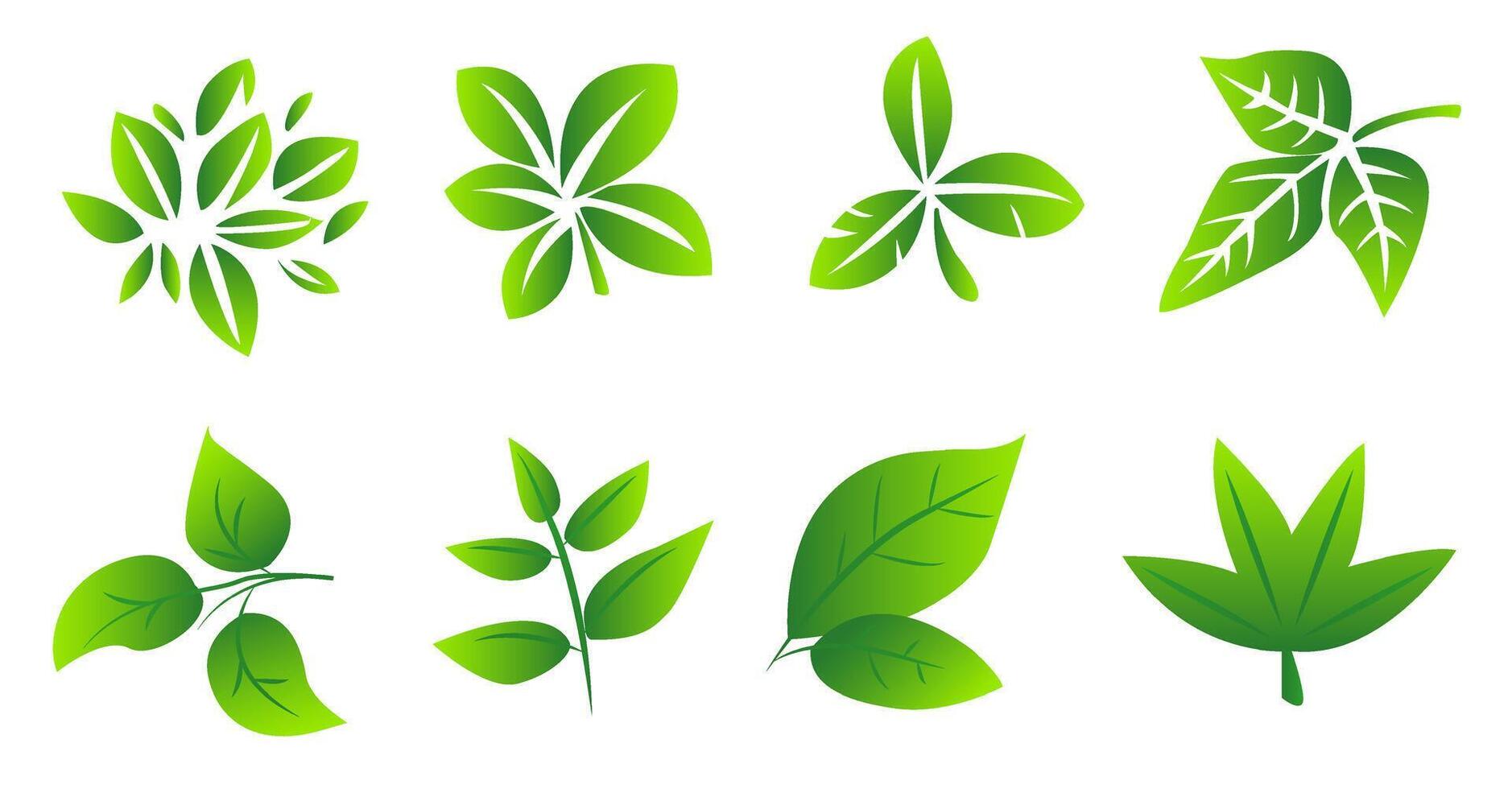 een reeks van groen bladeren Aan een wit achtergrond, voor logo's, ontwerpen, voor de symboliek van de groen planeet vector