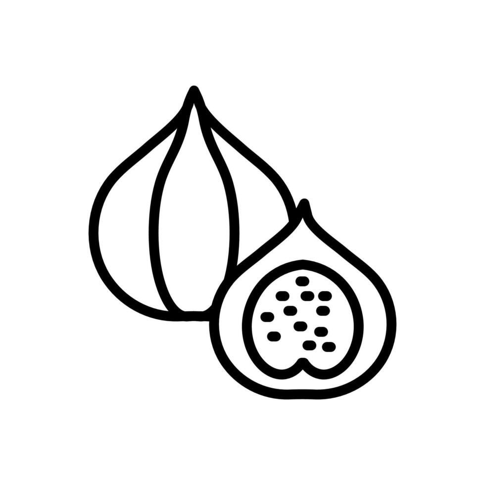 fig icoon in vector. logotype vector