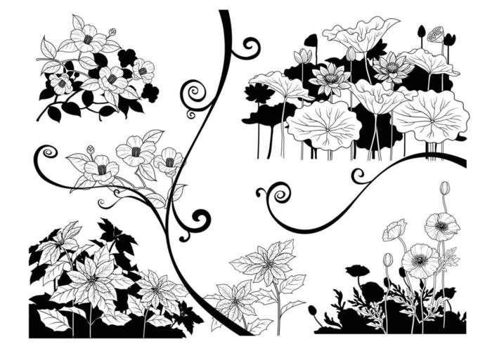 Zwart-wit Contrast Flower Vector Pack