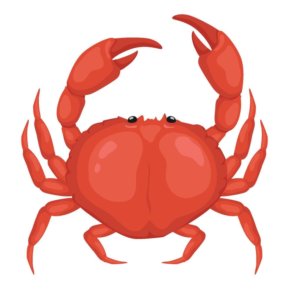 zee krab, vers zeevruchten. vector