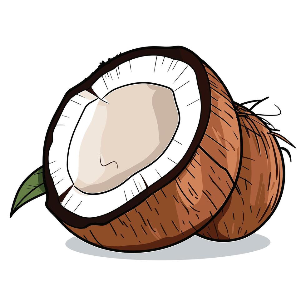 tekenfilm kokosnoot vector illustratie.