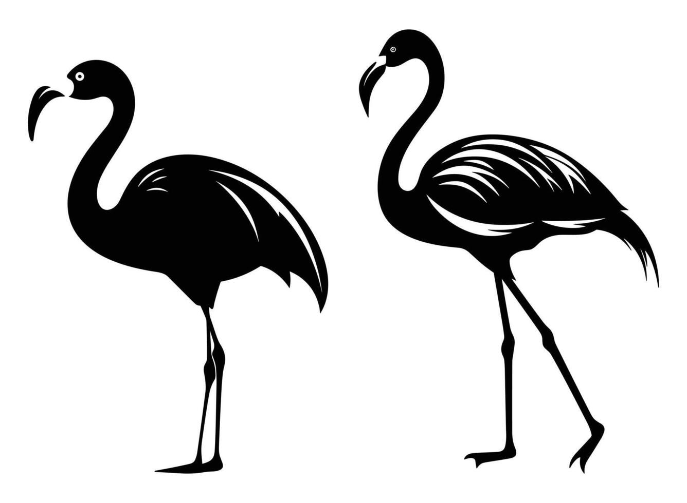 flamingo zwart silhouet vector, wit achtergrond. vector