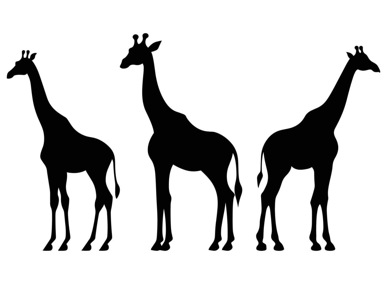 giraffe zwart silhouet vector, wit achtergrond. vector