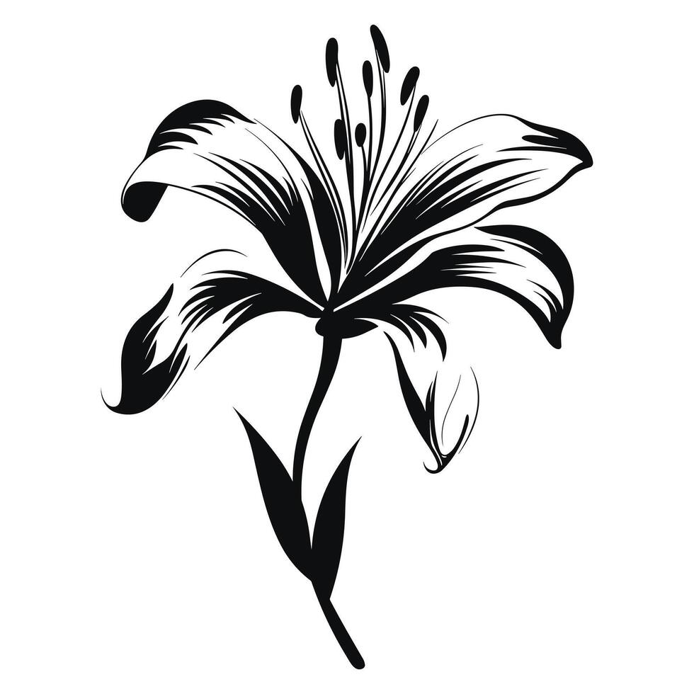 lelie bloem zwart silhouet vector
