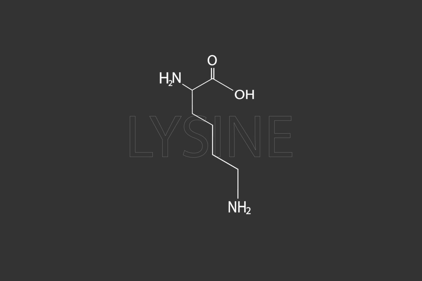 lysine moleculair skelet- chemisch formule vector