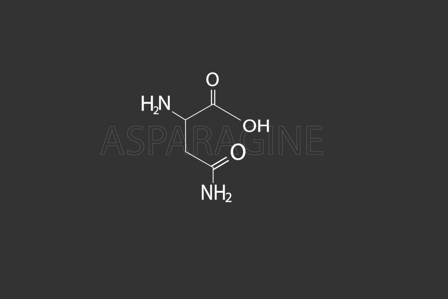 asparagine moleculair skelet- chemisch formule vector