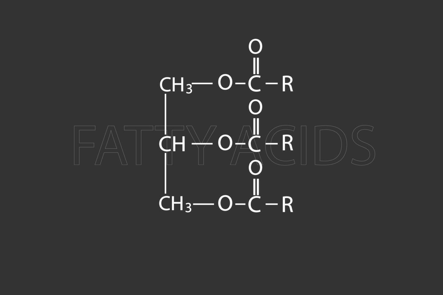 vettig zuren moleculair skelet- chemisch formule vector