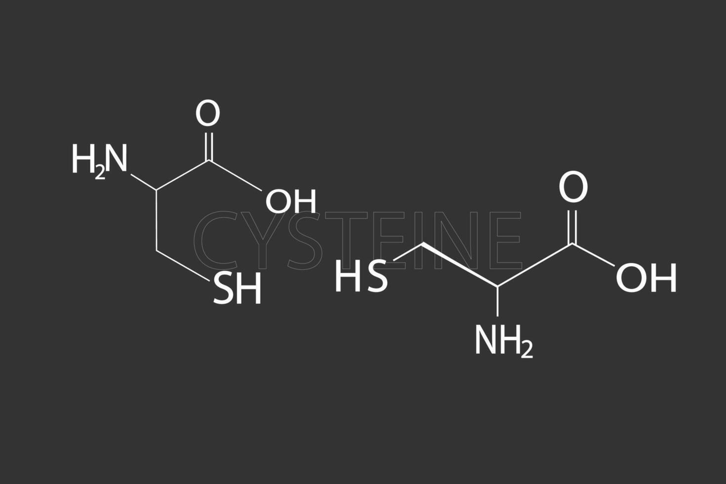 cysteïne moleculair skelet- chemisch formule vector