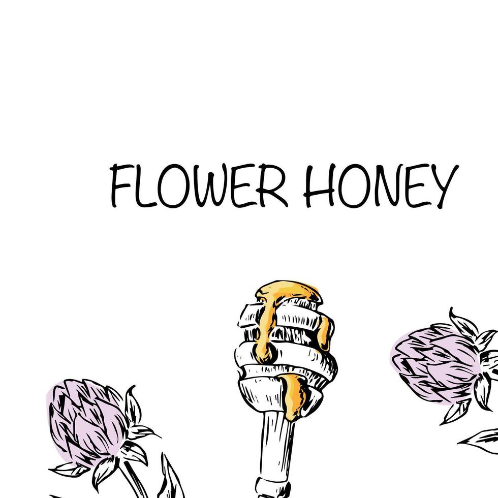 honing Klaver achtergrond hand- getrokken schetsen in kleur vector