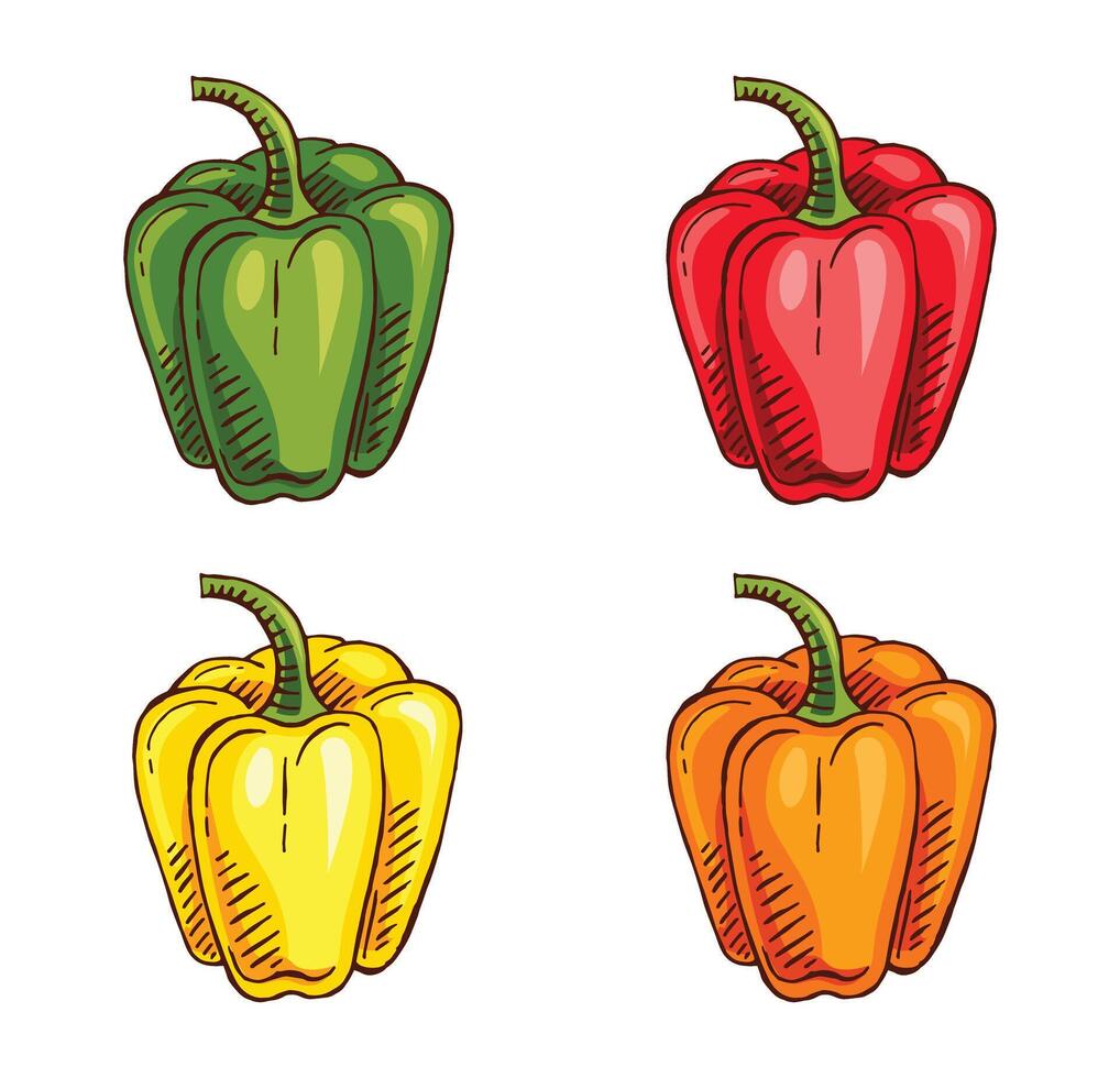 hand- getrokken paprika kleur vector illustratie