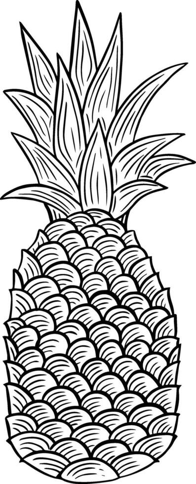 ananas fruit hand- getrokken gegraveerde schetsen tekening vector
