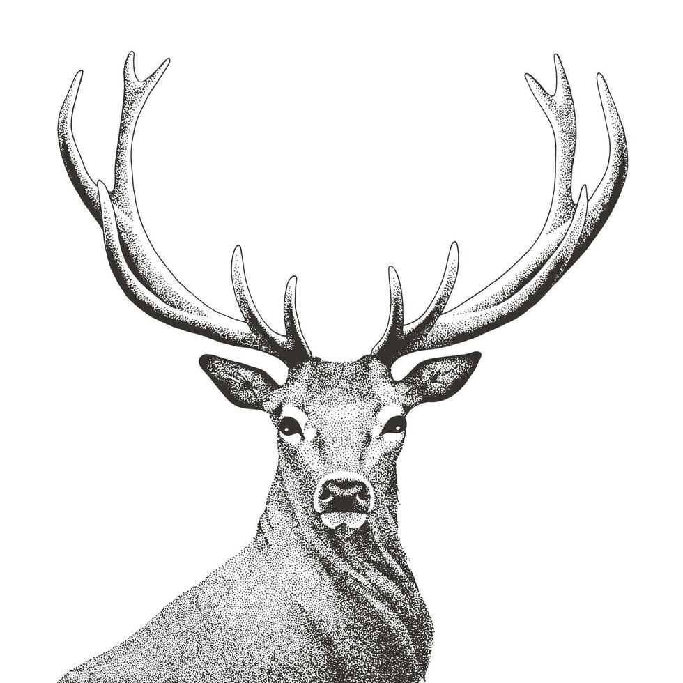 vector illustratie van hand- getrokken edele hert