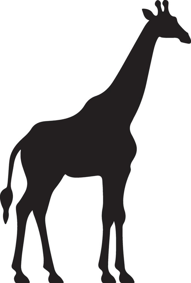 giraf silhouet vector illustratie wit achtergrond