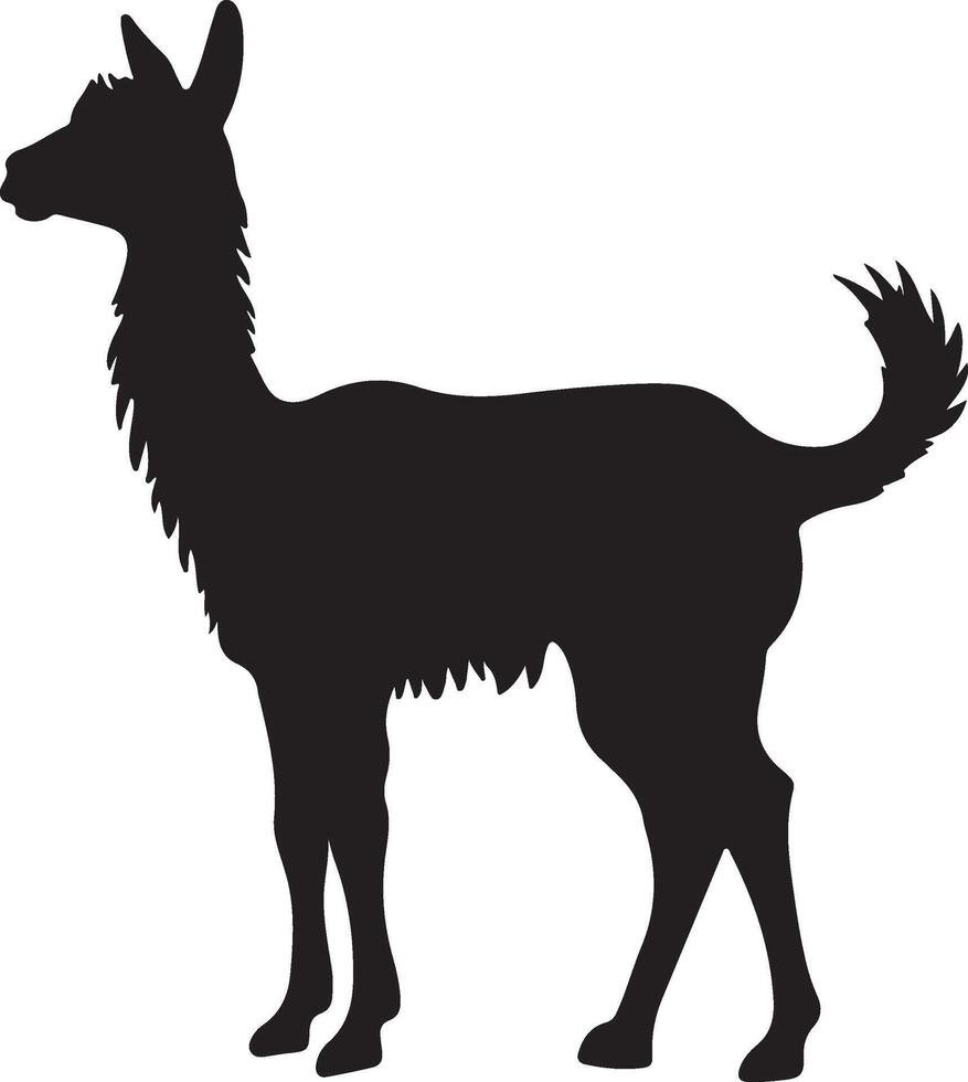 lama silhouet vector illustratie wit achtergrond