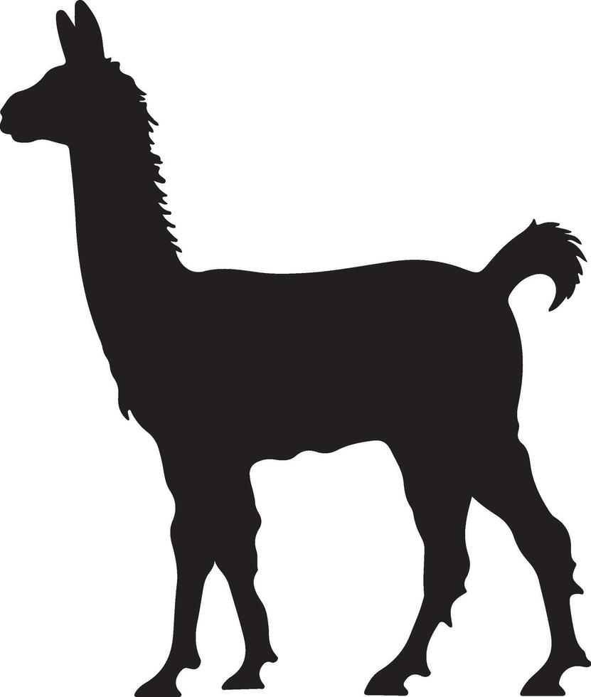 lama silhouet vector illustratie wit achtergrond