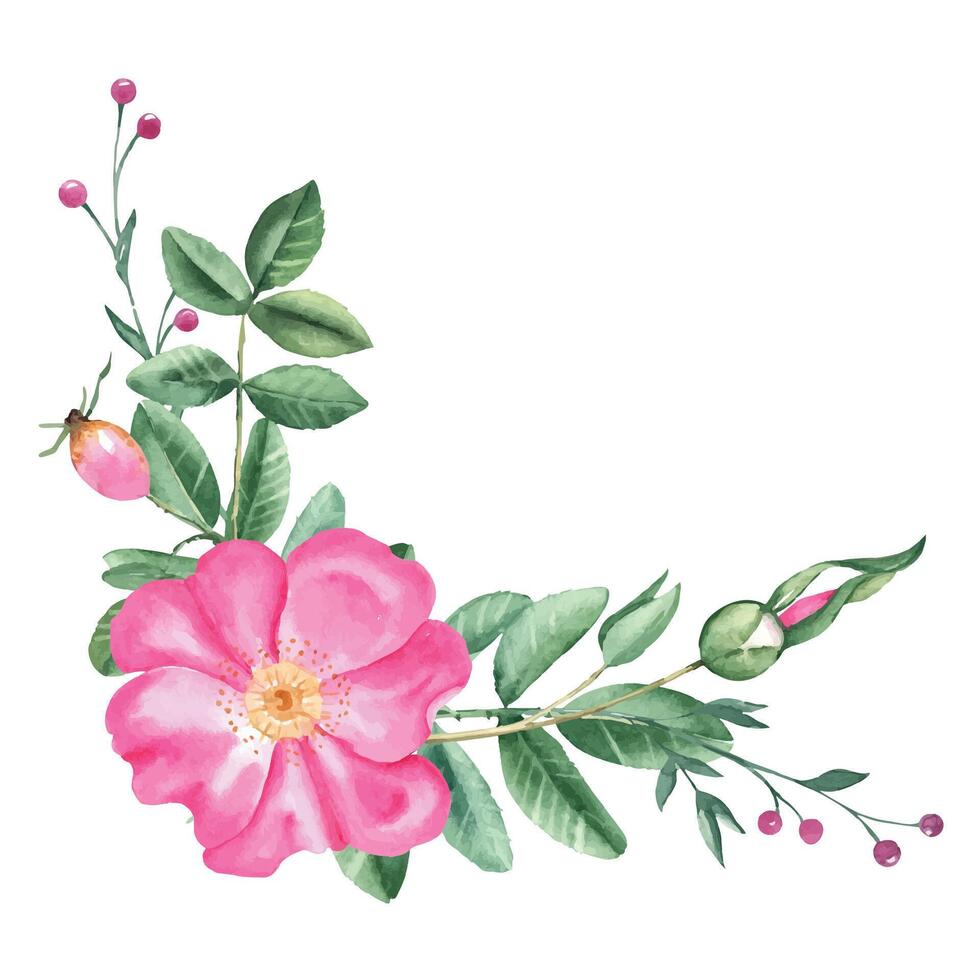 waterverf hond roos boeket, hoek samenstelling van bloemen, bladeren en roze bessen. botanisch hand- getrokken illustratie. voor kaarten, uitnodigingen en bloemen ontwerpen. vector