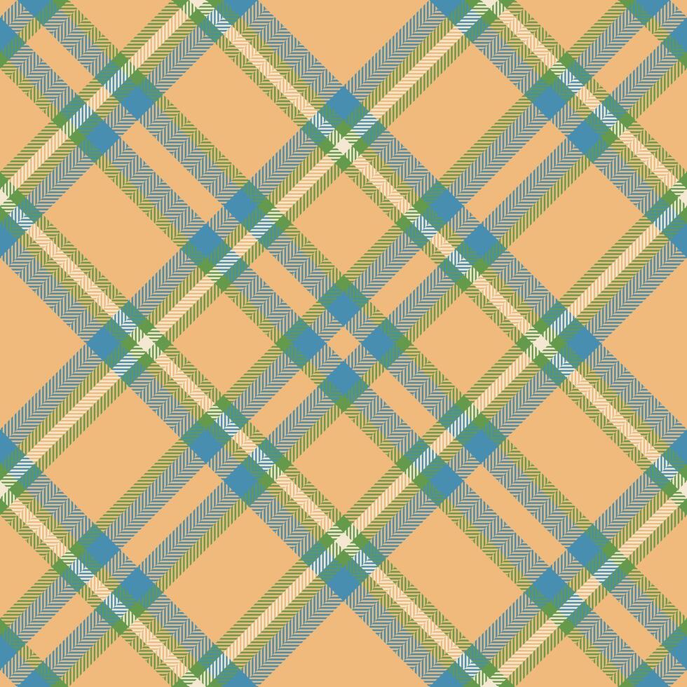 plaid patroon vector. controleren kleding stof textuur. naadloos textiel ontwerp voor kleren, papier afdrukken. vector