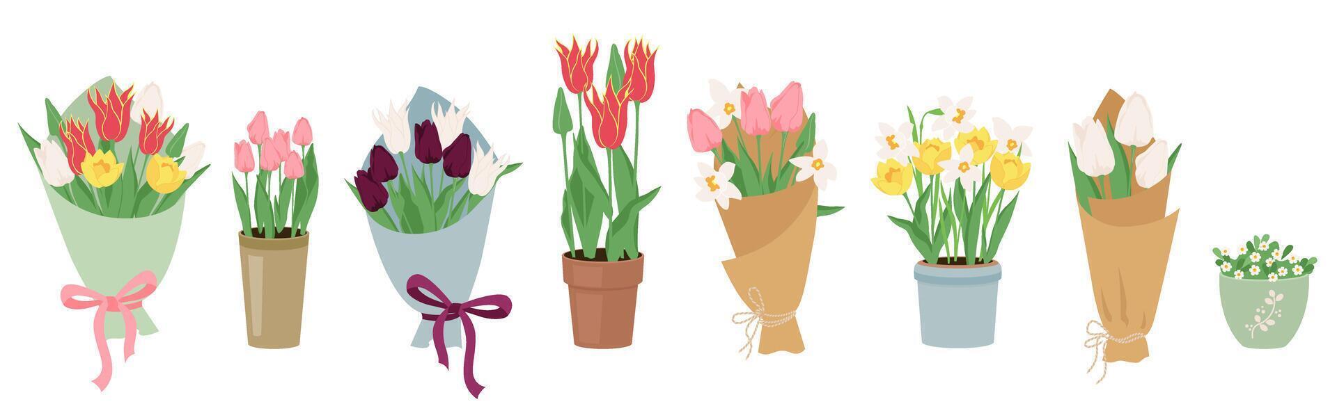 reeks van vector vroeg voorjaar tuin bloemen in boeketten en potten. bloemen ontwerp elementen voor gelukkig vrouwen dag maart 8, Valentijnsdag dag, verjaardag. bloeiend tulpen en narcissen geïsoleerd Aan wit