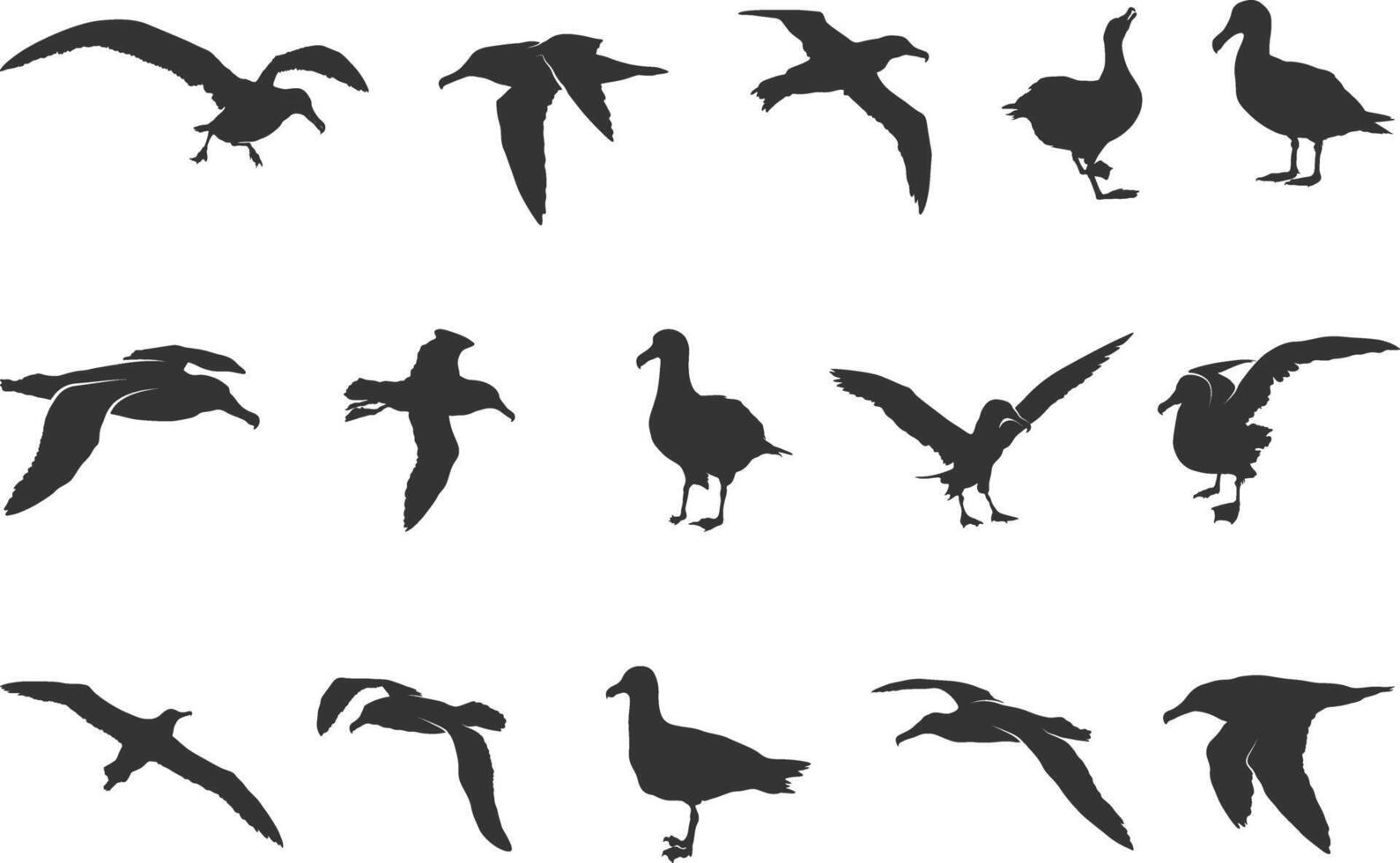 vliegend albatros silhouet, albatros silhouetten, albatros vogel silhouet, albatros vogel vector illustratie