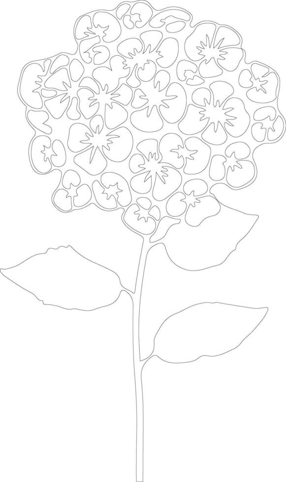 ai gegenereerd lantana schets silhouet vector