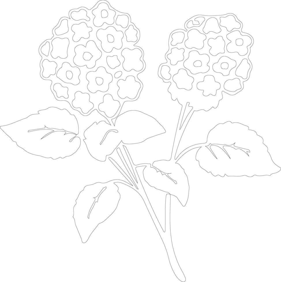 ai gegenereerd lantana schets silhouet vector