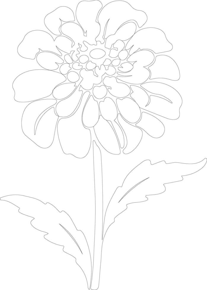 ai gegenereerd zinnia schets silhouet vector