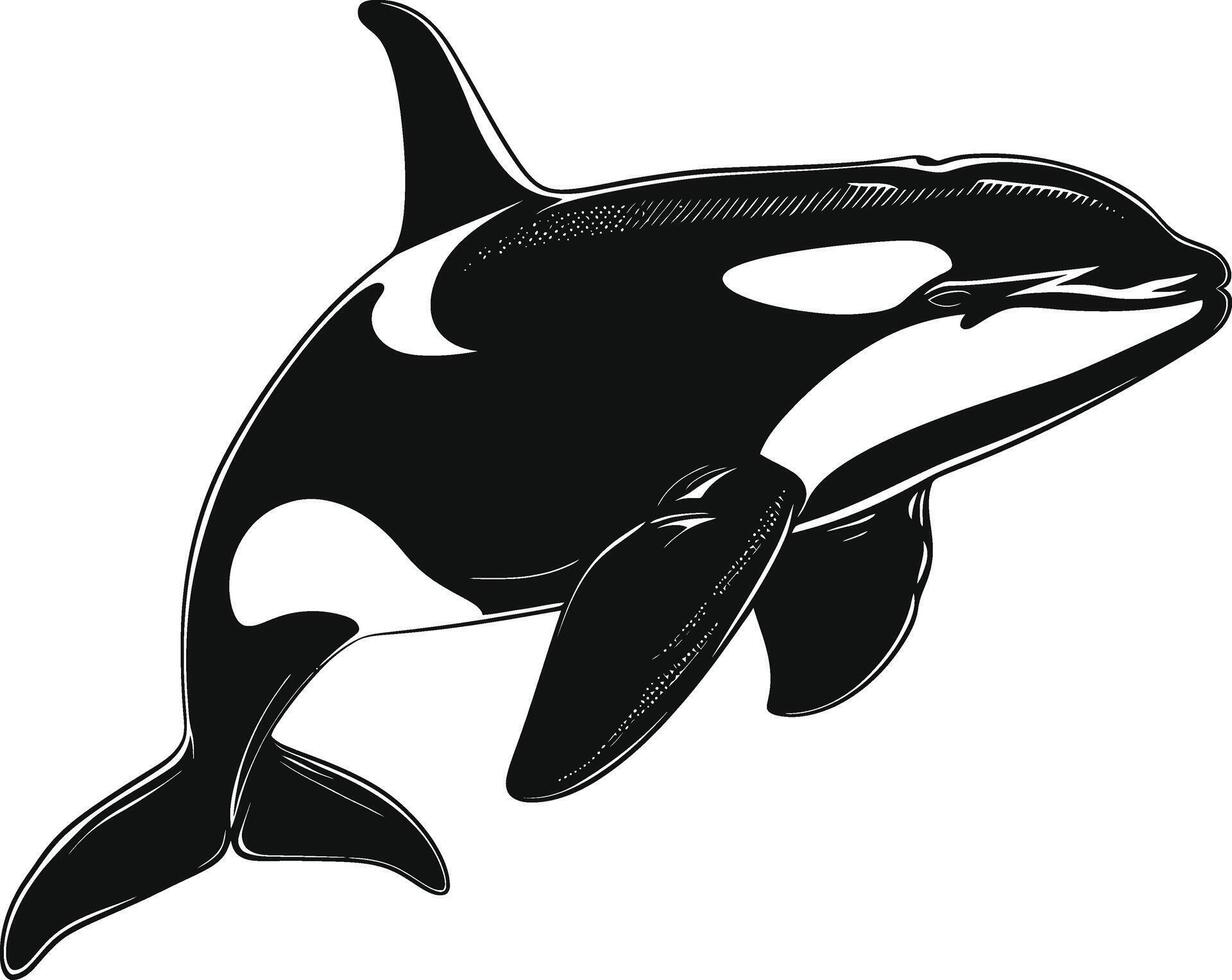 ai gegenereerd silhouet de orka of moordenaar walvis zwart kleur enkel en alleen vector