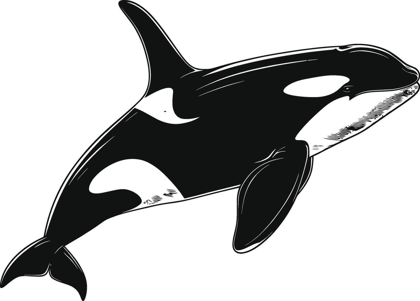 ai gegenereerd silhouet de orka of moordenaar walvis zwart kleur enkel en alleen vector