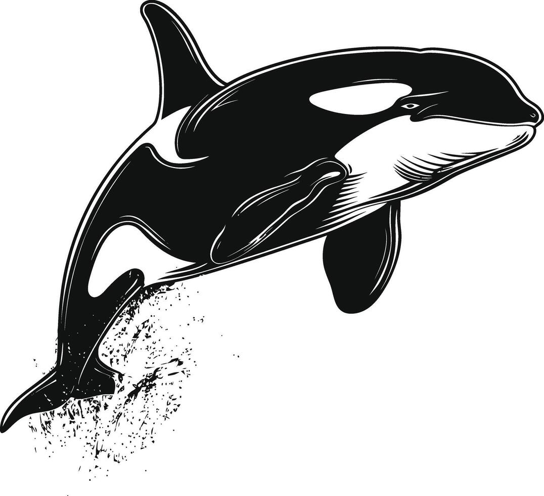 ai gegenereerd silhouet de orka of moordenaar walvis zwart kleur enkel en alleen vector