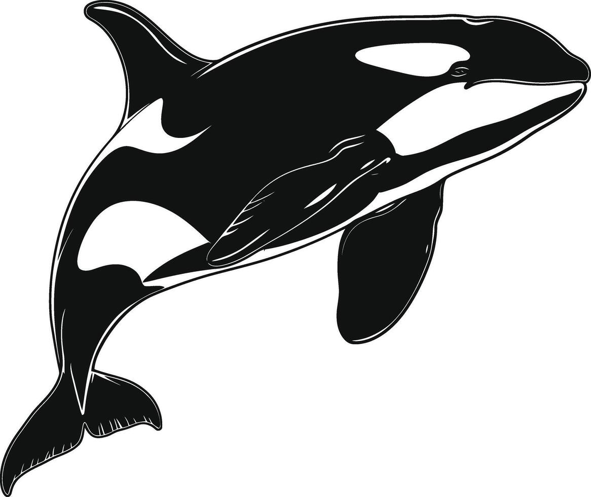 ai gegenereerd silhouet de orka of moordenaar walvis zwart kleur enkel en alleen vector