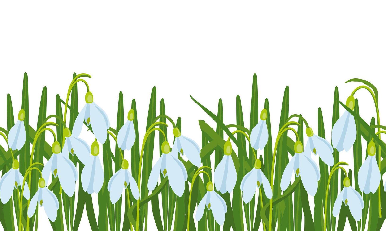 vector illustratie van Pasen thema, naadloos grens met boeket van voorjaar bloemen sneeuwklokjes, wit bloemen, bloemknoppen en bladeren, voorjaar partij illustratie Aan wit achtergrond