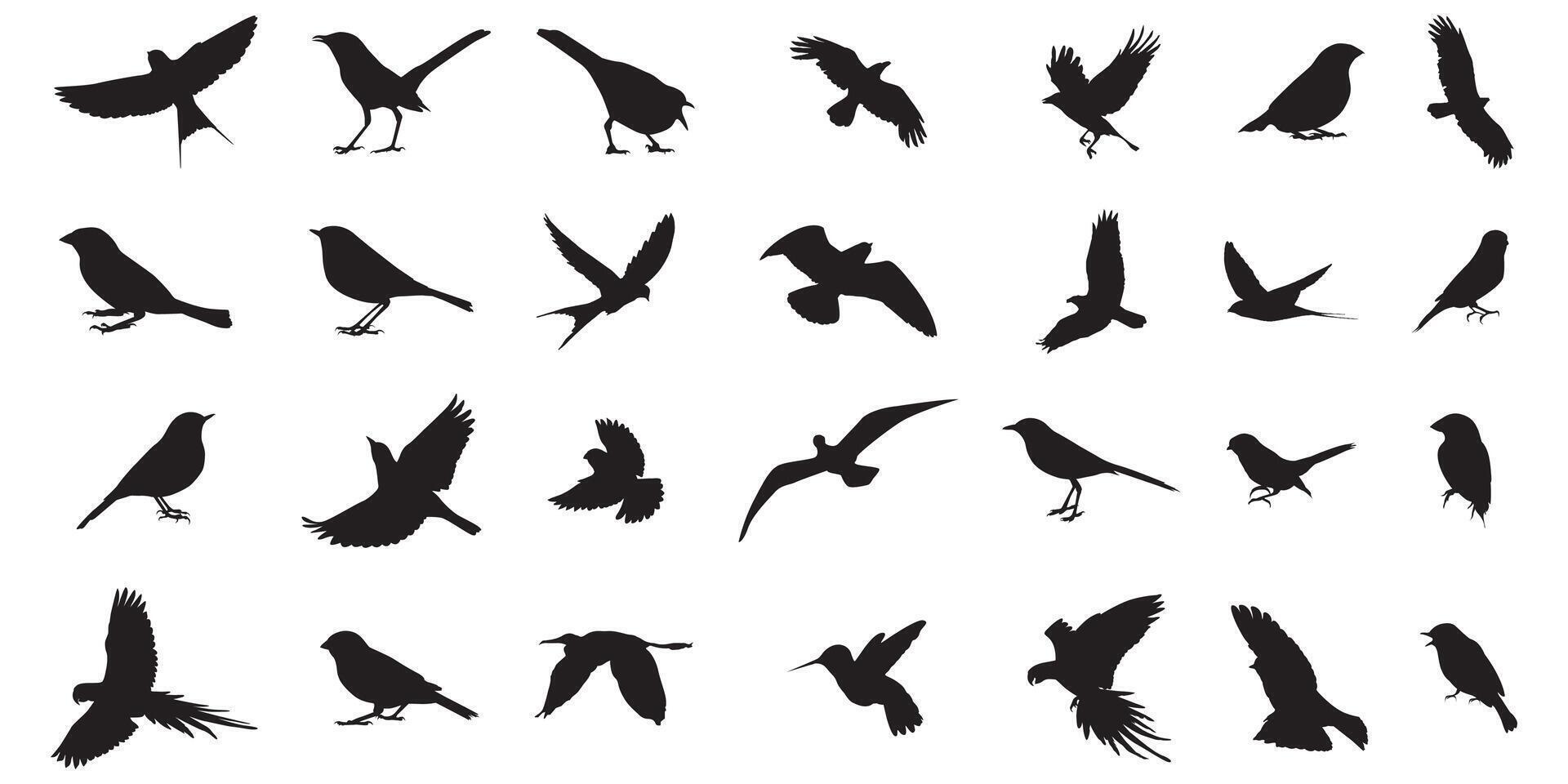 reeks vliegend vogel silhouetten geïsoleerd Aan wit achtergrond vector