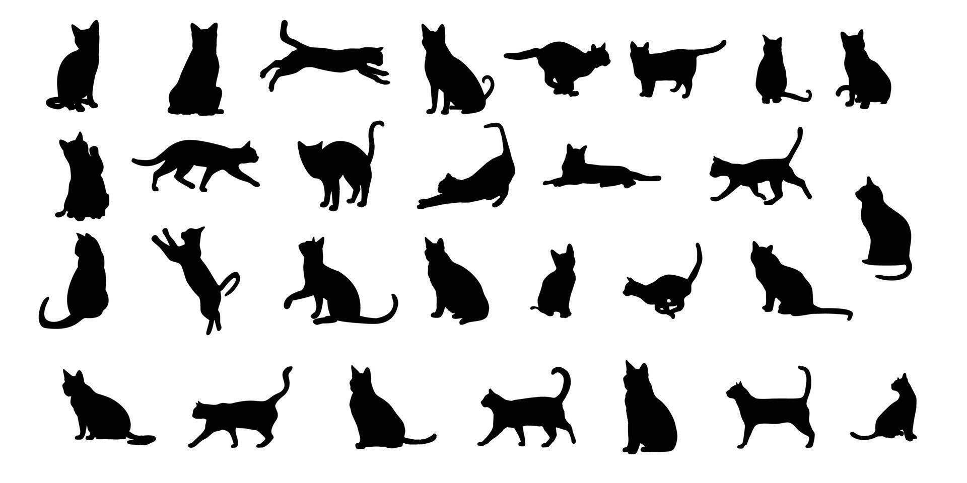reeks kat silhouetten geïsoleerd Aan wit achtergrond vector
