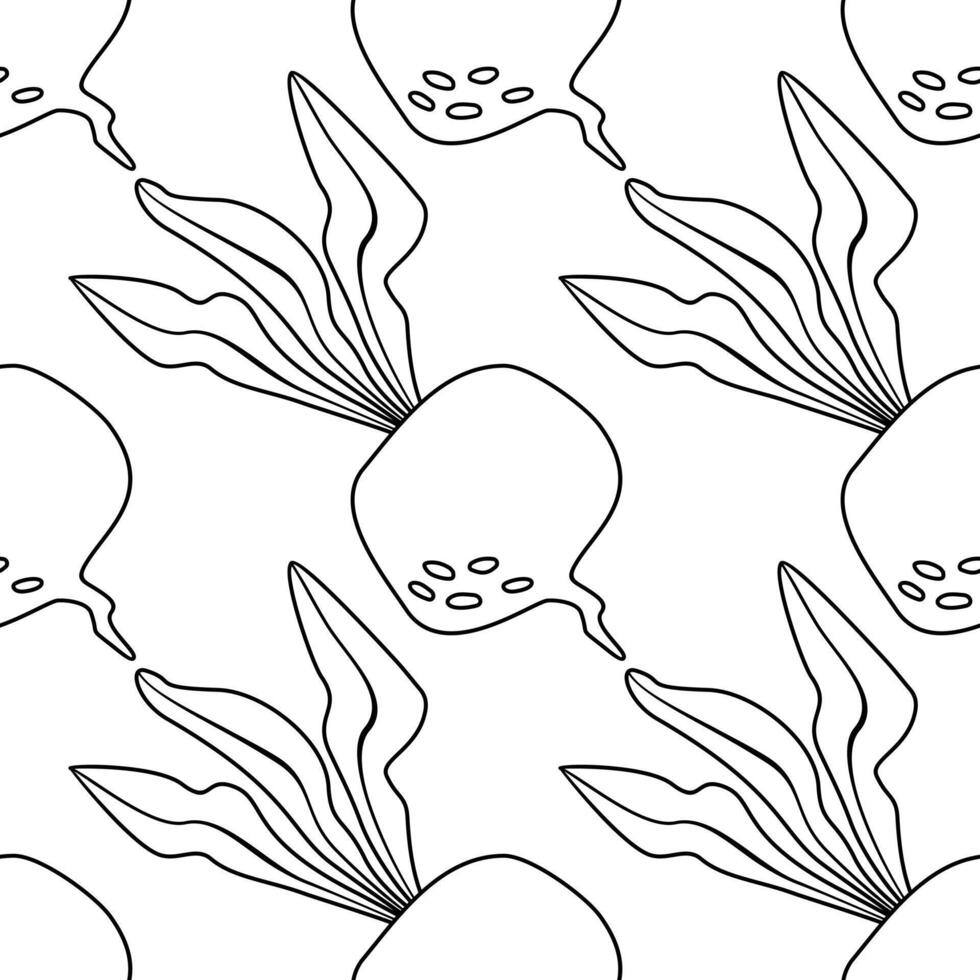 naadloos tekening patroon met bieten. structuur voor textiel, papier, behang. vector illustratie geïsoleerd Aan wit achtergrond.