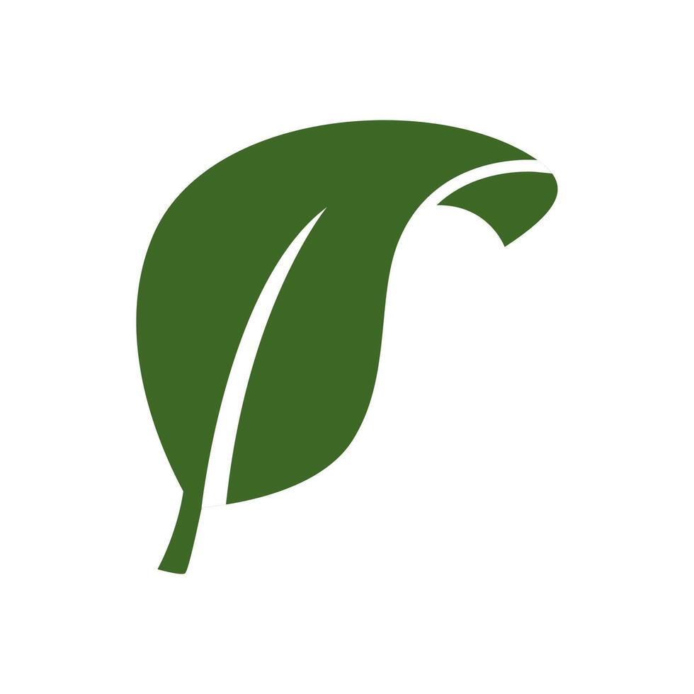 groen bladeren vector icoon ontwerp Aan wit achtergrond.