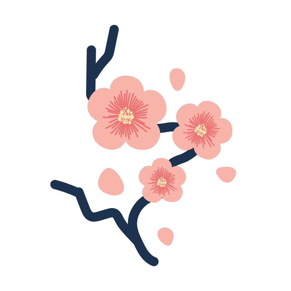 sakura bloemen tak boom vector