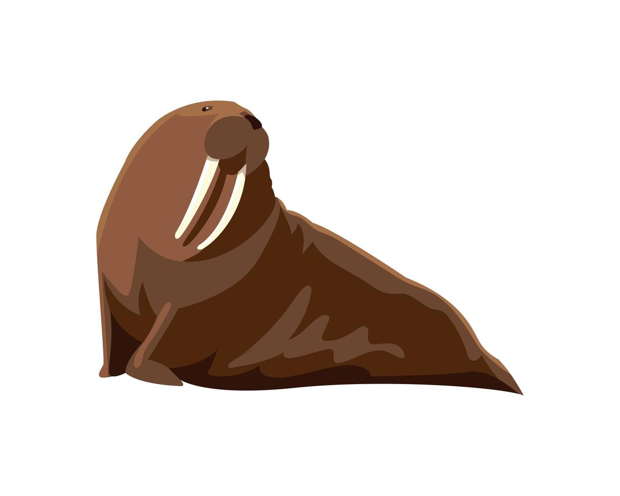 walrus noordpool dier pictogram geïsoleerde stijl vector