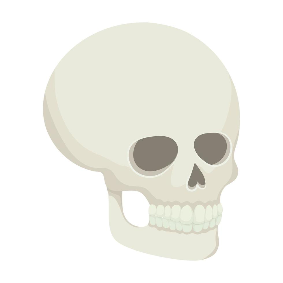 schedel pictogram op witte achtergrond vector