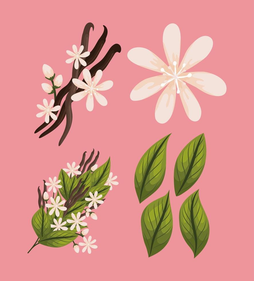 vier natuuritems vector