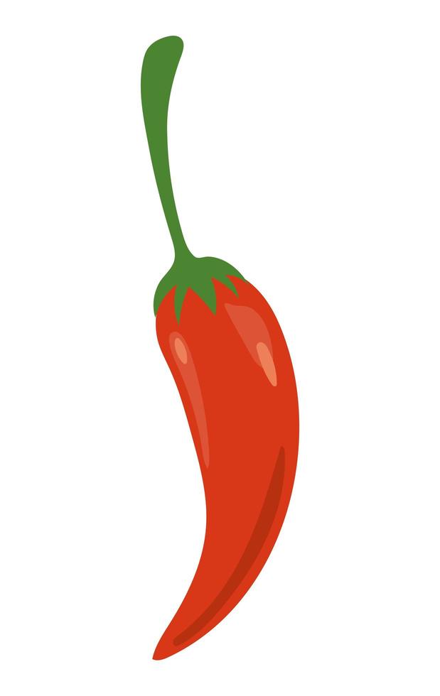 chili peper pictogram op witte achtergrond vector