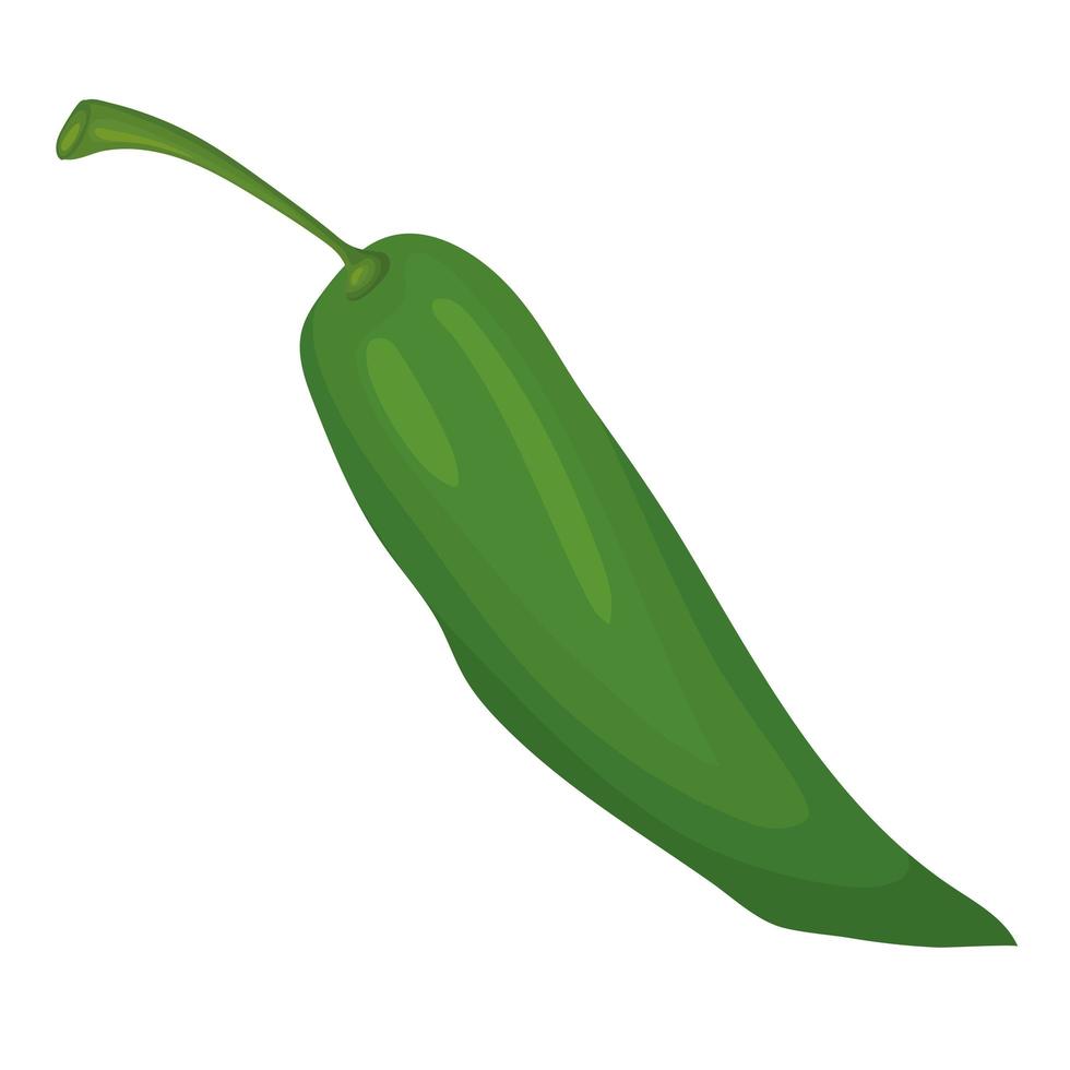 groene koude peper vector