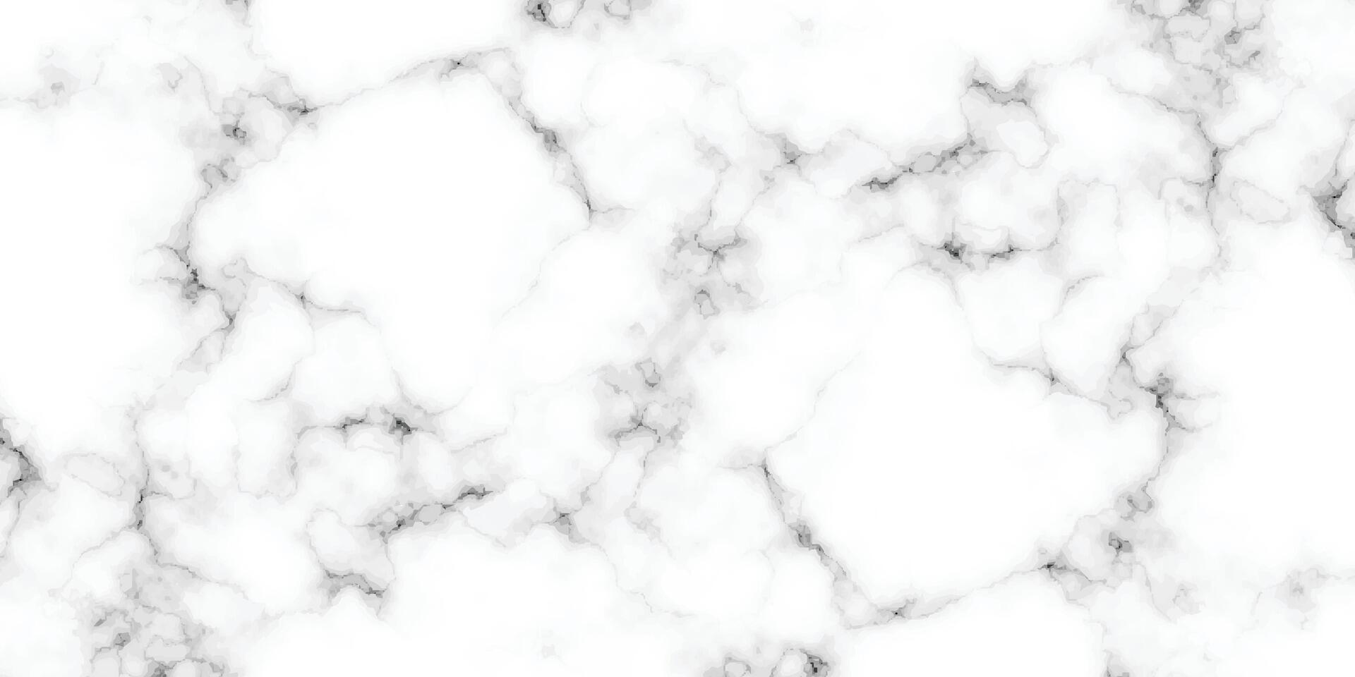 panoramisch wit marmeren steen textuur. wit marmeren structuur achtergrond. hoge resolutie wit carrara marmeren steen structuur vector