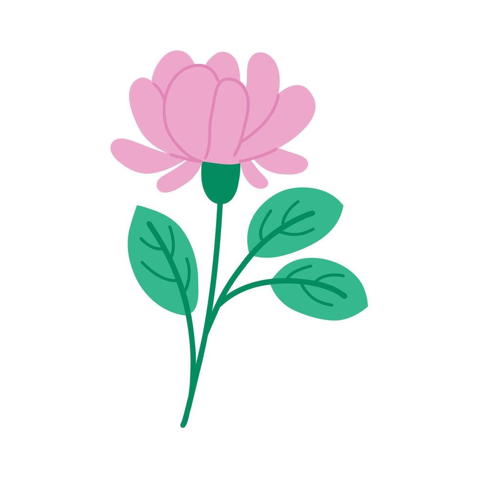 natuur roze bloem. botanisch element. bloemen boeketten. vector bloemen.